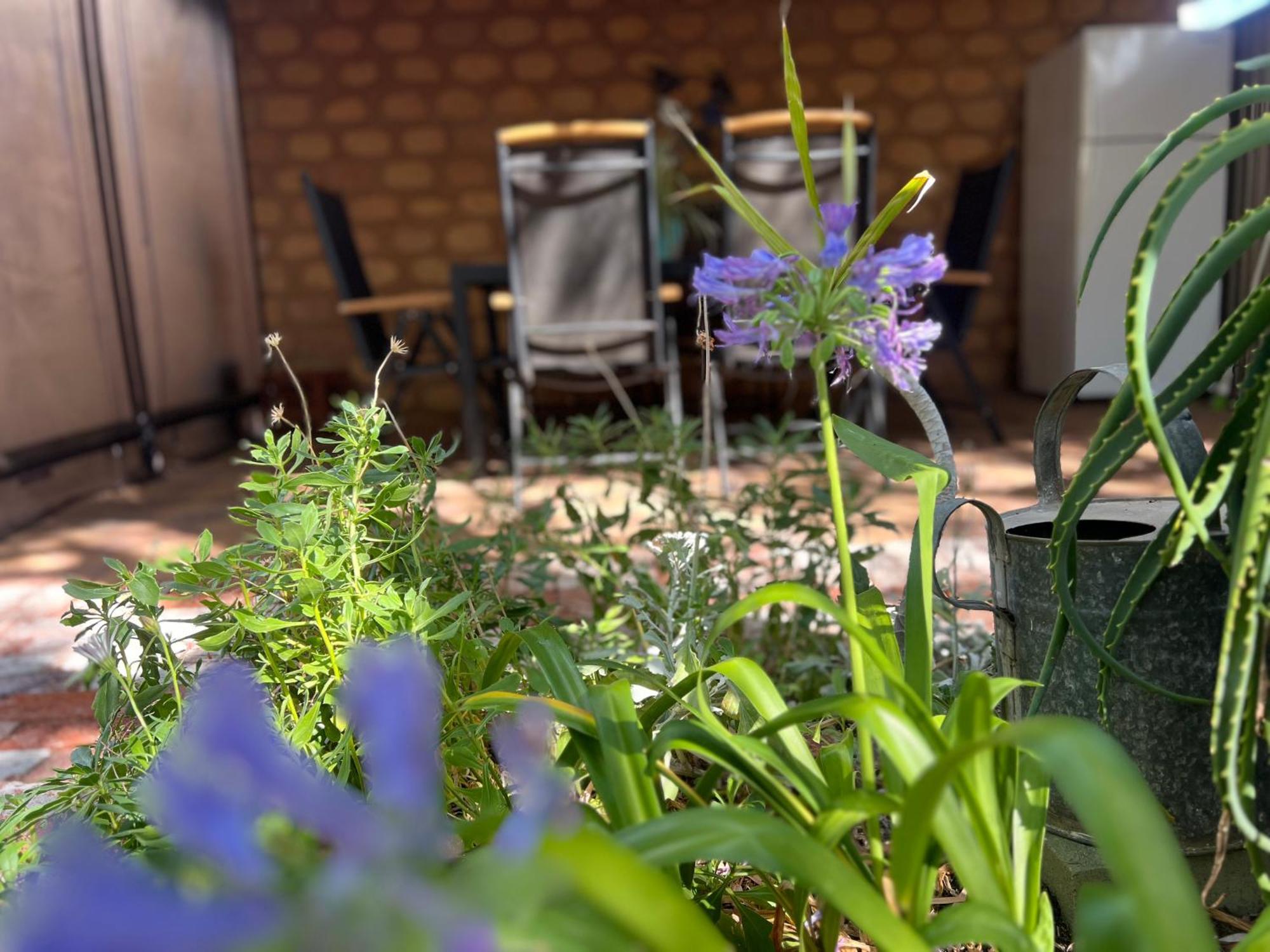 Acacia Retreat Apartment ดันส์โบโรห์ ภายนอก รูปภาพ